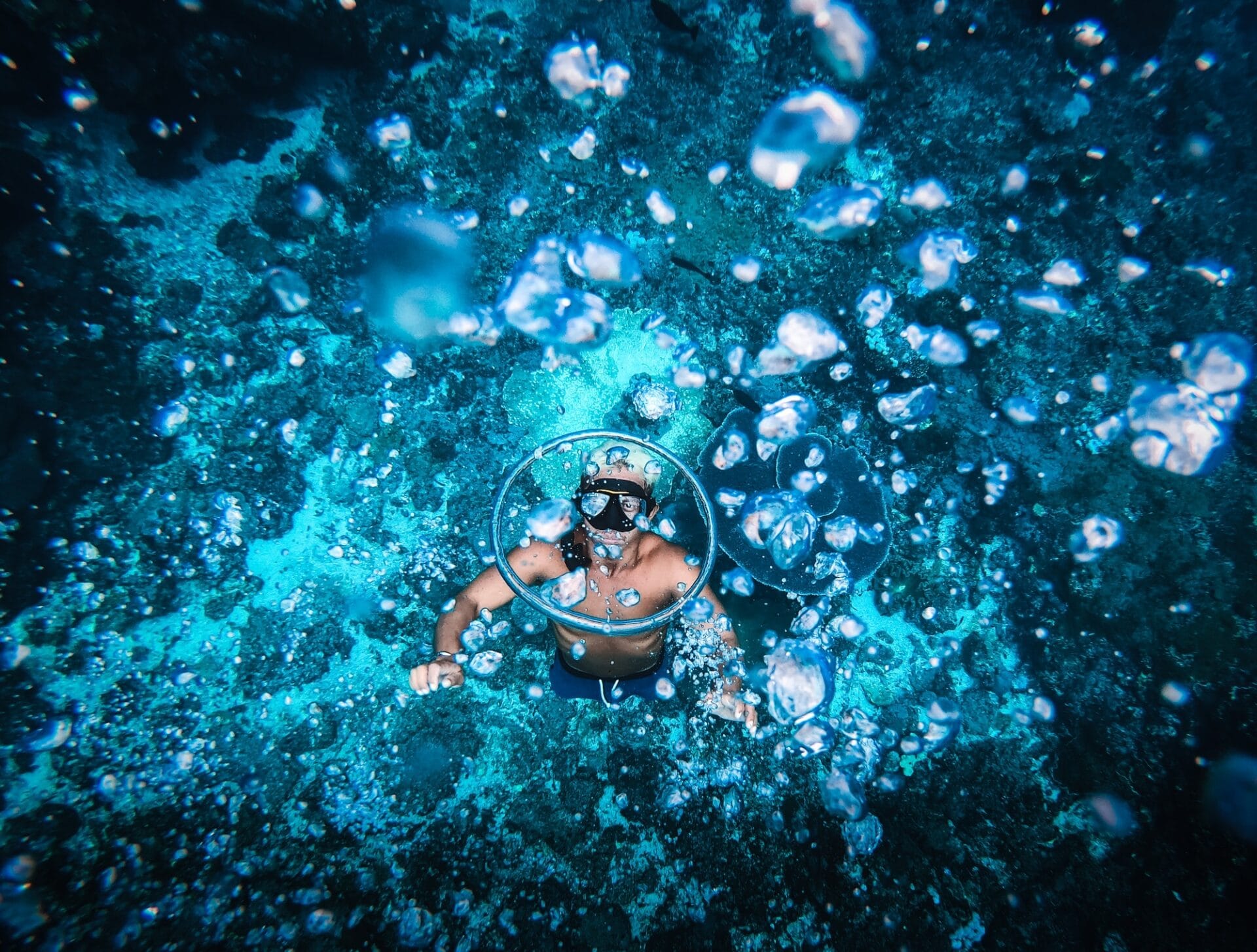 Snorkeling di antara ikan badut dan anemon laut