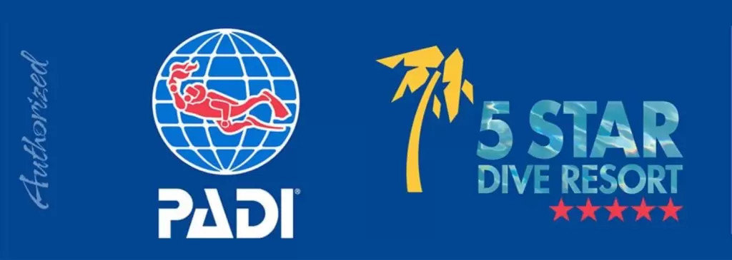 planetbalidive.com, scuba diving bali, Scuba diving Sanur, Scuba diving Nusa Penida