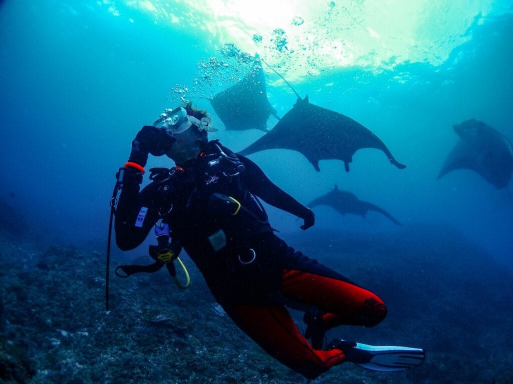 Bali s Best Kept Secret Diving With Manta Rays In Nusa Penida
