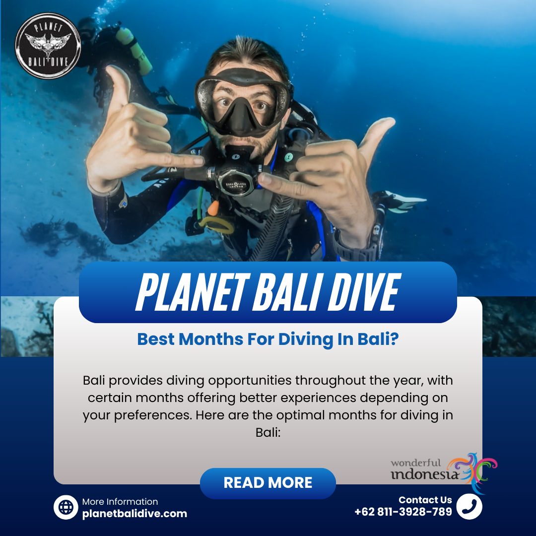 9 Best Dive Sites in Bali in 2024 Scuba Diving in Bali Fun Diving