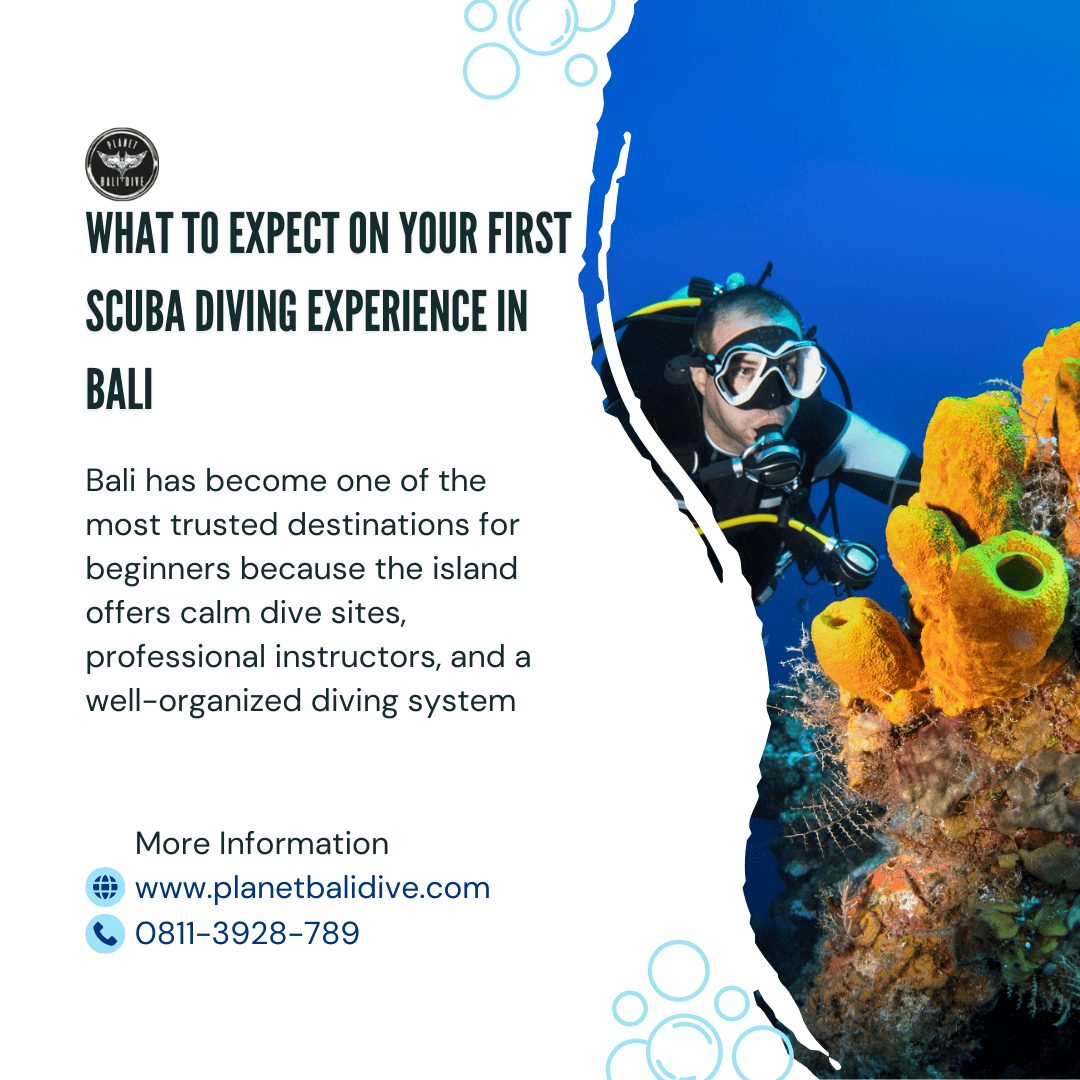 what to expect on your first scuba, scuba diving in Bali for beginner
