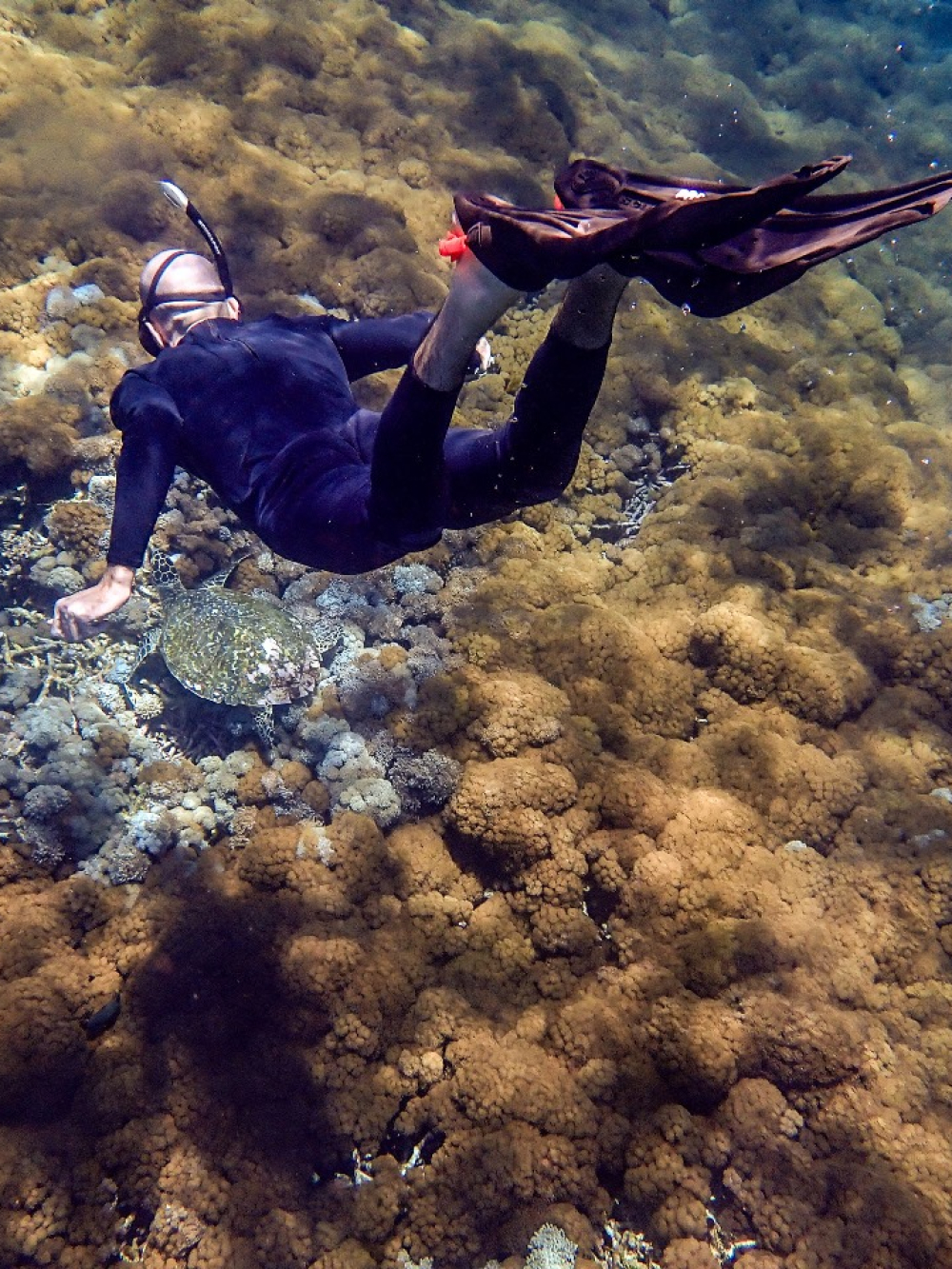 WhatsApp Image 2023-11-20 at 12.04.56 (1)