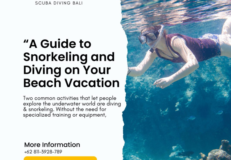 A Guide to Snorkeling and Diving