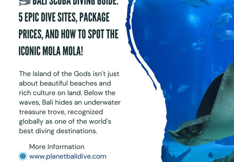Bali Scuba diving guide