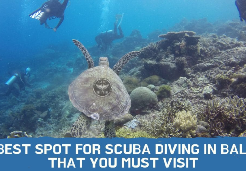 Best Spot for Scuba Diving in Bali That You Must Visit