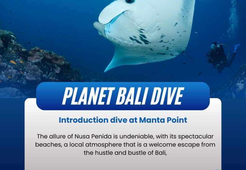dive at Manta Point