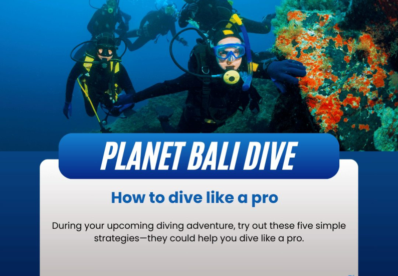 How to dive like a pro