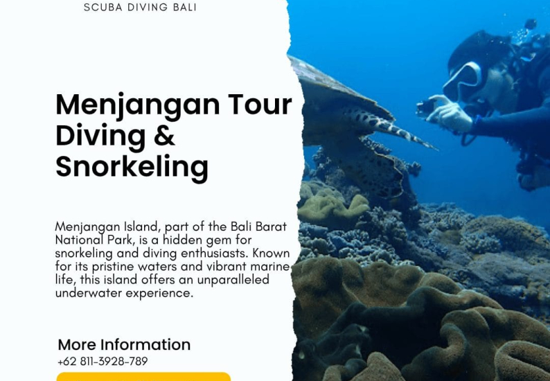 menjangan diving bali, Menjangan Tour Diving