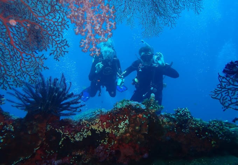 Scuba Diving in Sanur, Dive Courses in Sanur, Fun Dive Trip
